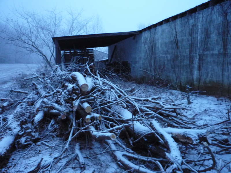 Forest Hill Farm in Winter